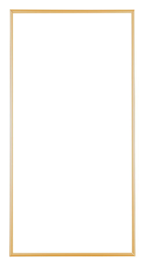 Austin Aluminium Bilderrahmen 30x60cm Gold Vintage Vorne | Yourdecoration.de