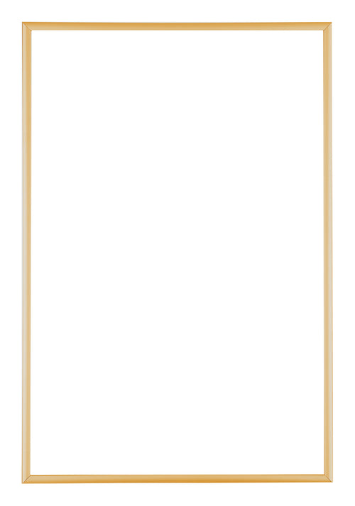 Austin Aluminium Bilderrahmen 60x85cm Gold Vintage Vorne | Yourdecoration.de