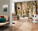 Komar Bold Birch Vlies Fototapete 400x250cm 4 bahnen interieur | Yourdecoration.de