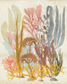 Komar Catchy Corals Vlies Fototapete 200x250cm 2 bahnen | Yourdecoration.de