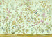 Komar Oiseaux du Paradis Vlies Fototapete 350x250cm 7 bahnen | Yourdecoration.de