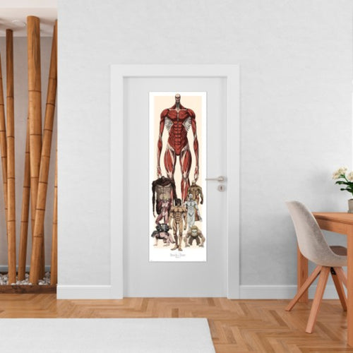 Poster Attack On Titan 53x158cm Grupo Erik PPGE8120 Sfeer | Yourdecoration.de