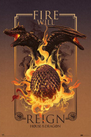 Poster House Of The Dragon Fire Will Reign 61x91 5cm Grupo Erik GPE5856 | Yourdecoration.de