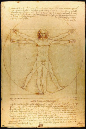 Poster Vitruvian Man 61x91 5cm Grupo Erik GPE5819 | Yourdecoration.de