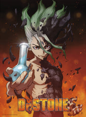 Dr Stone Senku Poster 38X52cm | Yourdecoration.de