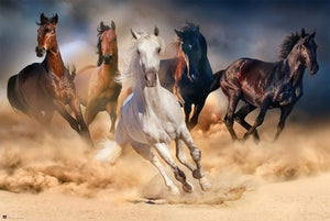 Grupo Erik GPE5031 Five Horses Poster 91,5X61cm | Yourdecoration.de