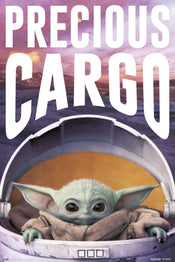 Grupo Erik GPE5420 Star Wars The Mandalorian Precious Cargo Poster 61X91,5cm | Yourdecoration.de