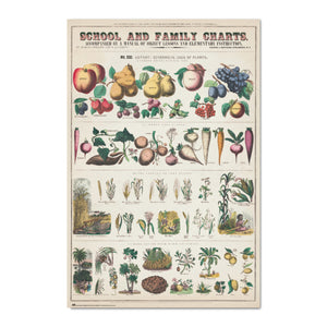 Grupo Erik Gpe5603 Poster Fruits And Vegetables | Yourdecoration.de