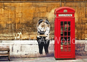 Edition Street - Red Telephone Box Kunstdruck 50x70cm | Yourdecoration.de