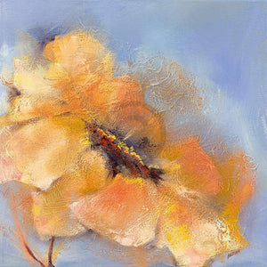 Elena Filatov - Bright Anemone II Kunstdruck 50x50cm | Yourdecoration.de