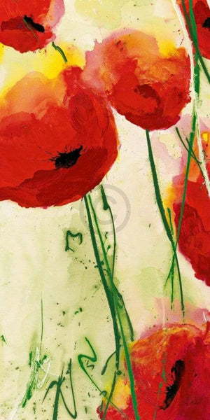 Heidi Reil - Klatschmohn Kunstdruck 50x100cm | Yourdecoration.de