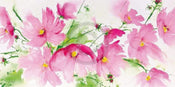 Heidi Reil - Rosa Kosmeen Kunstdruck 100x50cm | Yourdecoration.de