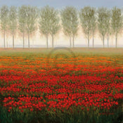 Park - Morning Mist Kunstdruck 68x68cm | Yourdecoration.de