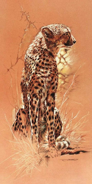 Renato Casaro - Cheetah Kunstdruck 50x100cm | Yourdecoration.de