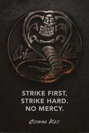 Pyramid PP34736 Cobra Kai Metal Poster | Yourdecoration.de