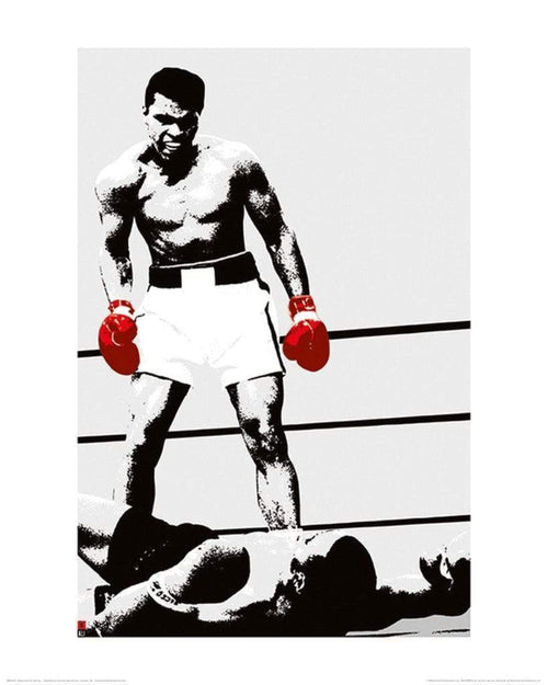 Pyramid Muhammad Ali Gloves Kunstdruck 40x50cm | Yourdecoration.de