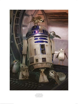 Pyramid Star Wars The Last Jedi R2D2 and Porgs Kunstdruck 60x80cm | Yourdecoration.de