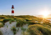 Wizard+Genius Lighthouse Fototapete 366x254cm | Yourdecoration.de