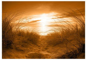 Artgeist Strand Sepia Vlies Fototapete | Yourdecoration.de