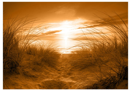 Fototapete - Strand Sepia - Vliestapete