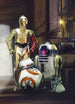 Komar Star Wars Three Droids Fototapete 184x254cm | Yourdecoration.de