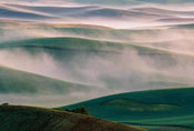 Wizard+Genius Foggy Hills I Vlies Fototapete 384x260cm 8-bahnen | Yourdecoration.de