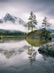 Wizard+Genius Foggy Day Vlies Fototapete 192x260cm 4-bahnen | Yourdecoration.de