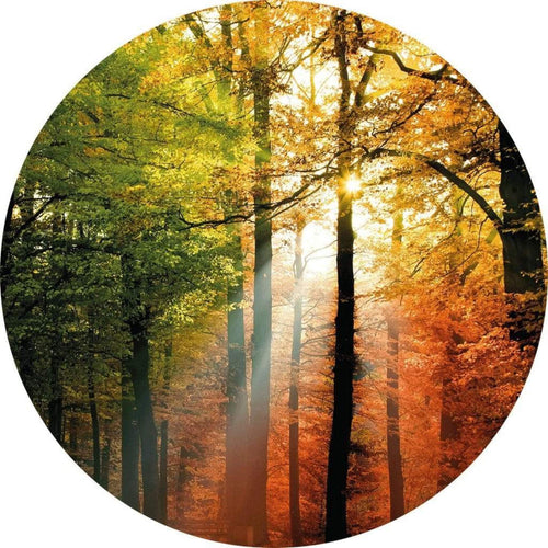 Wizard+Genius Golden Autumn Vlies Fototapete 140x140cm rund | Yourdecoration.de