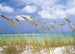 Komar Ocean Breeze Fototapete 368x254cm | Yourdecoration.de