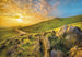 Komar Mountain Morning Fototapete 368x254cm | Yourdecoration.de