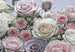 Komar Floraison Fototapete 368x254cm | Yourdecoration.de