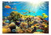 Artgeist Underwater Land Vlies Fototapete | Yourdecoration.de