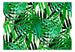 Fototapete - Tropical Leaves - Vliestapete