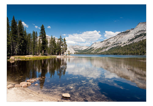 Fototapete - Tenaya Lake - Vliestapete