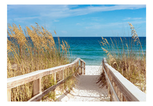 Fototapete - Summer at the Seaside - Vliestapete