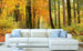 Dimex Autumn Forest Fototapete 375x250cm 5-Bahnen Sfeer | Yourdecoration.nl