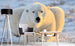 Dimex Bear Fototapete 375x250cm 5-Bahnen Sfeer | Yourdecoration.nl