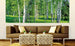 Dimex Birch Grow Fototapete 375x150cm 5-Bahnen Sfeer | Yourdecoration.nl