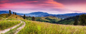 Dimex Blooming Hills Fototapete 375x150cm 5-Bahnen | Yourdecoration.de