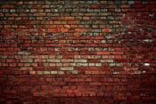 Dimex Brick Wall Fototapete 375x250cm 5-Bahnen | Yourdecoration.de