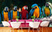 Dimex Colourful Macaw Fototapete 375x250cm 5-Bahnen Sfeer | Yourdecoration.nl