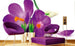 Dimex Crocus Fototapete 375x250cm 5-Bahnen Sfeer | Yourdecoration.nl