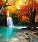 Dimex Deep Forest Waterfall Fototapete 225x250cm 3-Bahnen | Yourdecoration.de