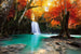 Dimex Deep Forest Waterfall Fototapete 375x250cm 5-Bahnen | Yourdecoration.de