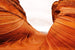 Dimex Desert Fototapete 375x250cm 5-Bahnen | Yourdecoration.de