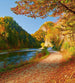 Dimex Dunajec River Fototapete 225x250cm 3-Bahnen | Yourdecoration.de