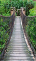 Dimex Footbridge Fototapete 150x250cm 2-Bahnen | Yourdecoration.de