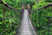 Dimex Footbridge Fototapete 375x250cm 5-Bahnen | Yourdecoration.de