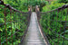 Dimex Footbridge Fototapete 375x250cm 5-Bahnen | Yourdecoration.de