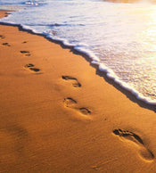 Dimex Footsteps Fototapete 225x250cm 3-Bahnen | Yourdecoration.de